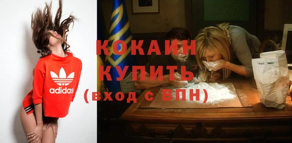 индика Богородицк