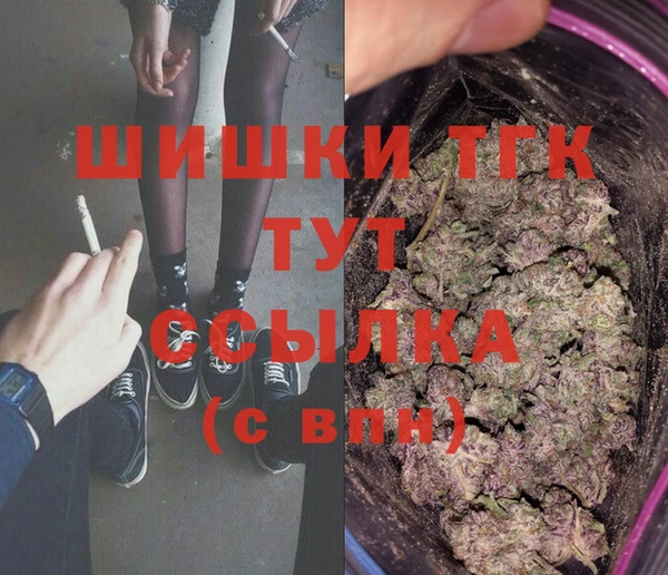 индика Богородицк