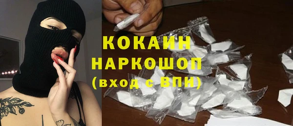 индика Богородицк