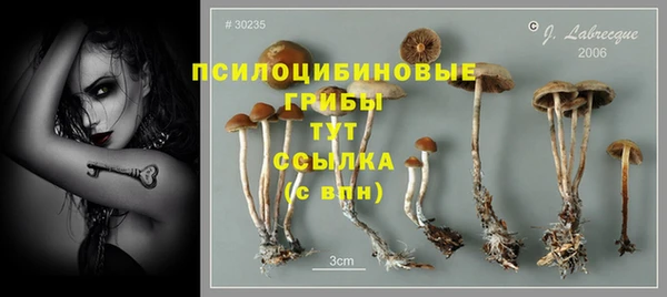 COCAINE Белокуриха