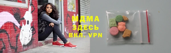 индика Богородицк