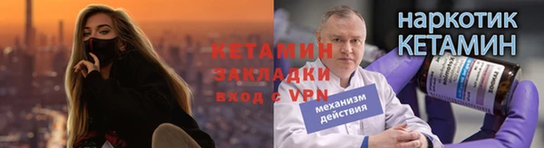индика Богородицк