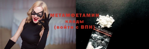 индика Богородицк