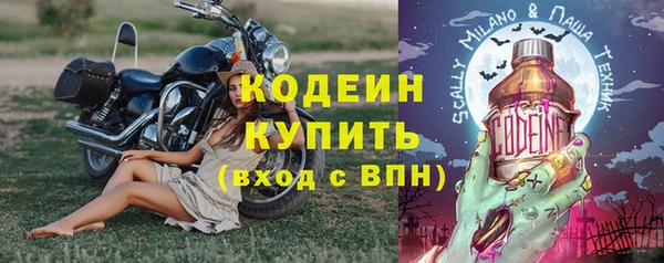 индика Богородицк
