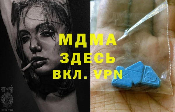 индика Богородицк