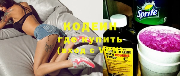 индика Богородицк