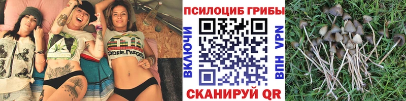 Псилоцибиновые грибы ЛСД  Гудермес 