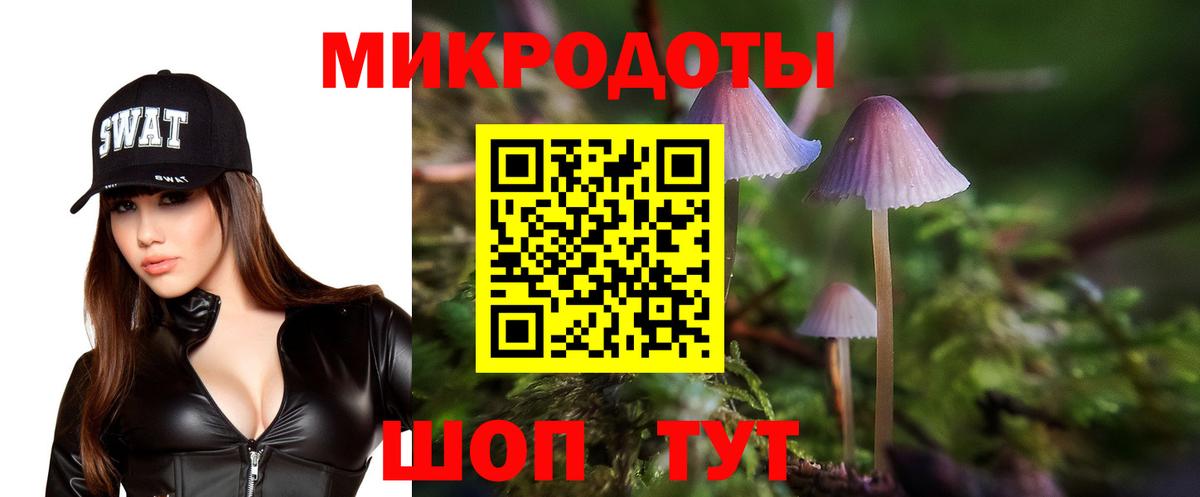Галлюциногенные грибы GOLDEN TEACHER Гудермес
