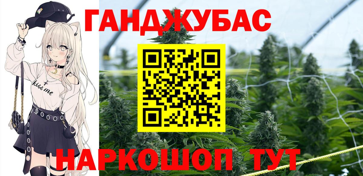 Гудермес  Каннабис планчик  Вход с VPN  Конопля AK-47  Марихуана марихуана  Каннабис индика 